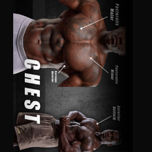 Load image into Gallery viewer, Big Ass Chest - Professional Training Guide