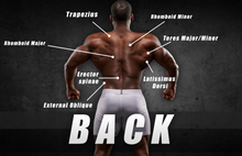 Load image into Gallery viewer, Max Muscle Extreme - The Complete Training Guide